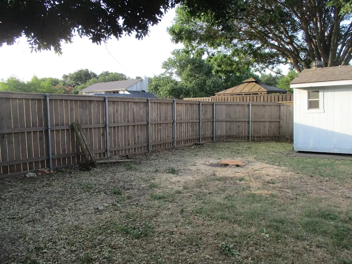 Cleared yard after professional tree removal in Birney